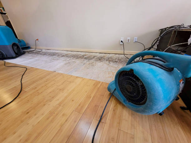 Professional Emergency Water Damage technician working in Estillfork, AL